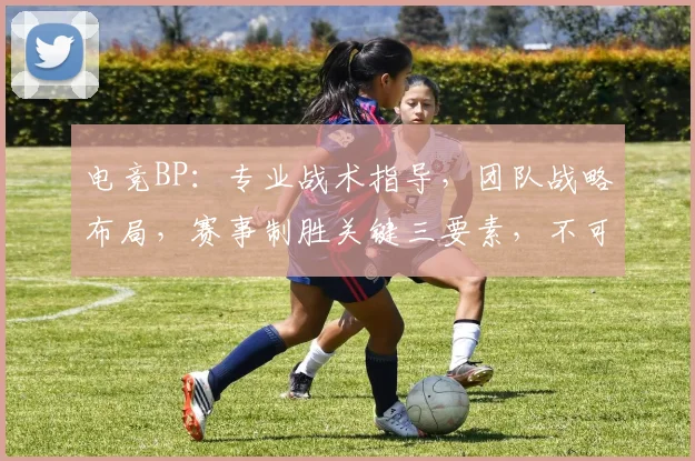 电竞BP：专业战术指导，团队战略布局，赛事制胜关键三要素，不可或缺