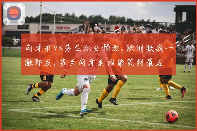 匈牙利vs芬兰比分预测,欧洲激战一触即发,芬兰匈牙利谁能笑到最后