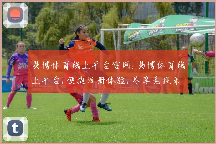 易博体育线上平台官网,易博体育线上平台,便捷注册体验,尽享竞技乐趣,一触即达