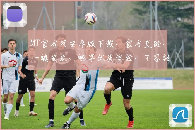MT官方网安卓版下载，官方直链，一键安装，畅享优质体验，不容错过，必看