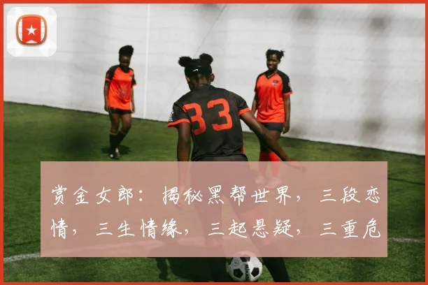 赏金女郎：揭秘黑帮世界，三段恋情，三生情缘，三起悬疑，三重危机