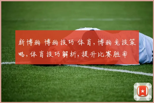 新博狗 博狗技巧 体育,博狗竞技策略,体育技巧解析,提升比赛胜率