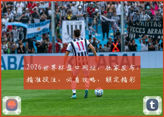 2026世界杯盘口网址，独家发布，精准投注，必看攻略，锁定精彩